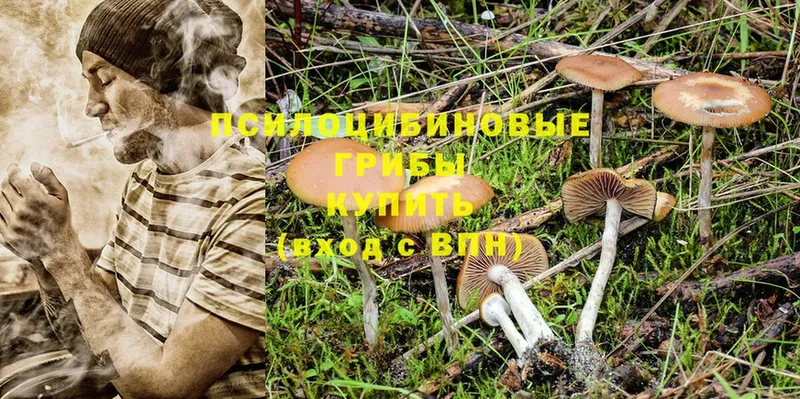 Псилоцибиновые грибы Magic Shrooms  Агрыз 